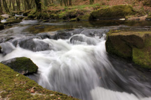 Golitha Falls water flowing through mossy rocks photo for the Richard W Luscombe Photography Portfolio