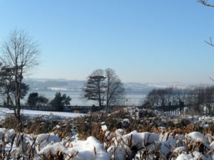 Snowy Devon field and trees photo for the Richard W Luscombe Photography Portfolio