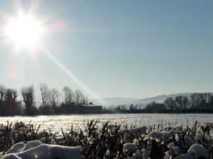 Snowy Devon Field photo for the Richard W Luscombe Photography Portfolio