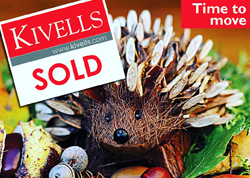 Kivells Autumn 2018